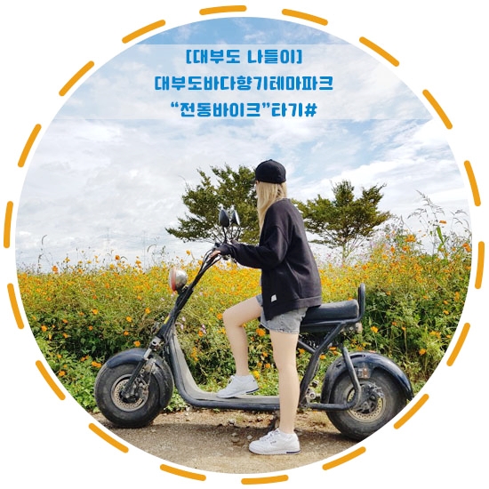  [대부도 여행/나들이]"바다향기테마파크"데이트코스 전동바이크 타기#