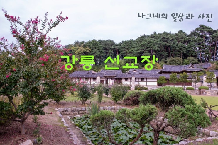 강릉여행코스 추천 "선교장"으로 떠나는 시간 여행
