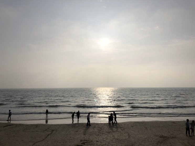  대천여행, 대천해수욕장/24시참새방앗간/해물라면/장원식당/해물뚝배기/코랄커피