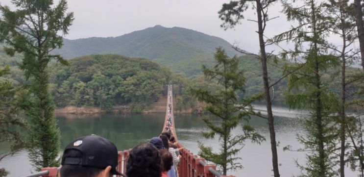  파주 가볼만한곳 _마장호수  출렁다리 산책 코스 최고3살 따님과 함께