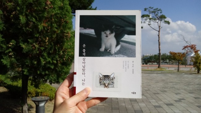  김하연/운 좋게 살아남았다, 나는
