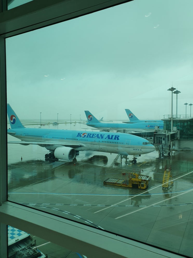  인도 델리 대한항공 직항 후기, E 비자 입국 수속 시간 짧네