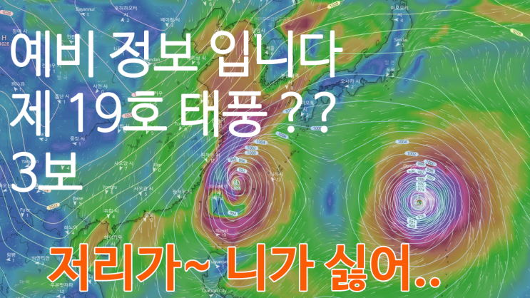  저리가)제 19호 태풍 하기비스 ? 이동 경로 예상 4보