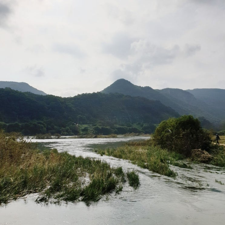  충북-영동/금강휴게소