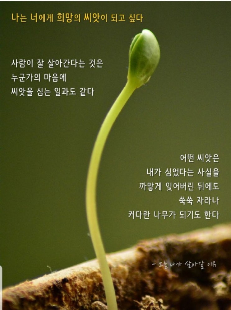  열매나눔재단을 소개합니다