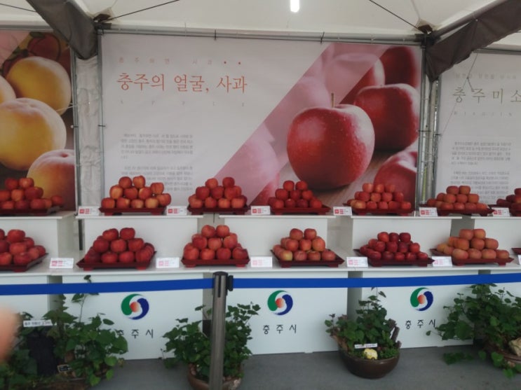  충주농산물한마당축제 다녀왔어요~