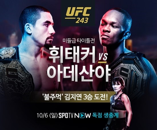 UFC243 휘태커 vs 아데산야 프리뷰!!