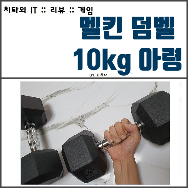  덤벨 이두삼두운동 :: 멜킨 10kg