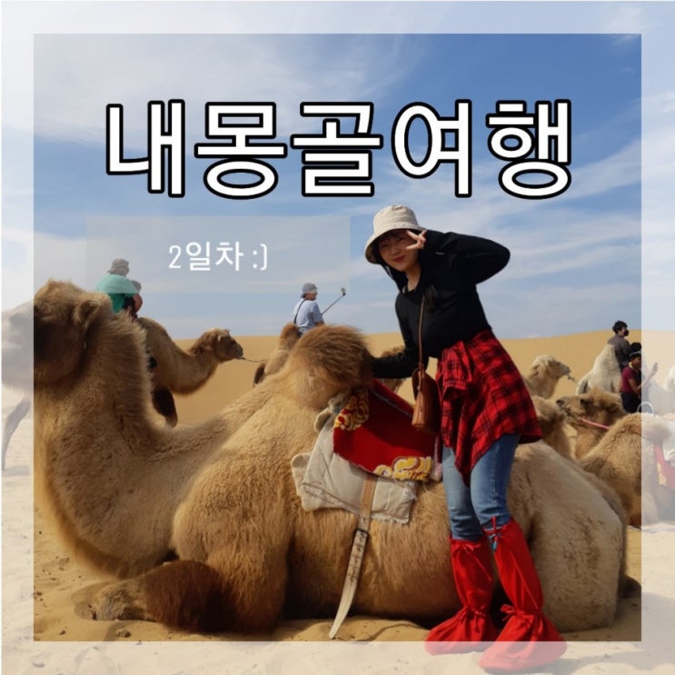  [중국/내몽골内蒙古] 중국 국경절 내몽골 2박3일 여행_2 :: 2일차 일정, 사막 액티비티, 기념품구매