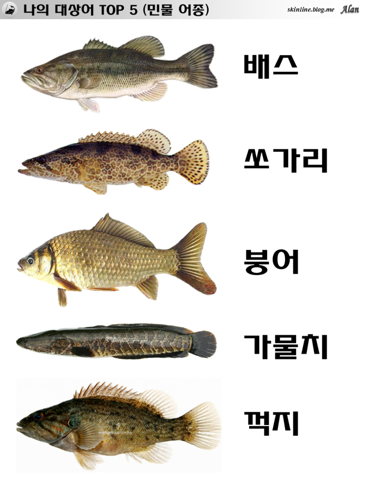  [정리] 나의 대상어 TOP 5