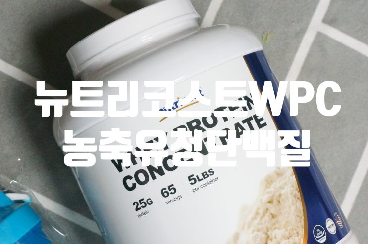  단백질보충제 뉴트리코스트 WPC로 저는 저녁에 헬스후 꼭 챙겨먹어요!
