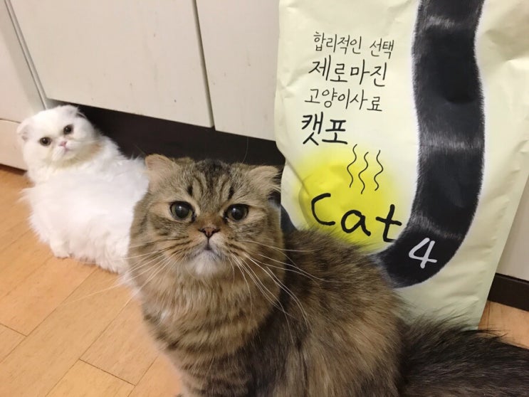  가성비갑 대포장 고양이사료 알파벳 제로마진 캣포