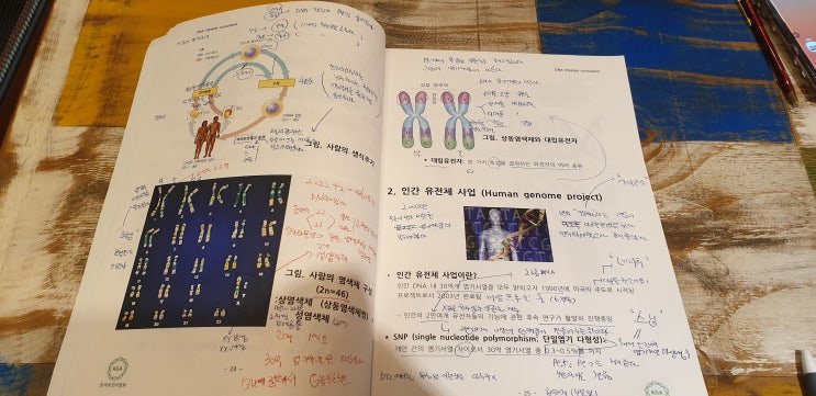 DNA컨설턴트 자격증 취득 어떻게 할까요?