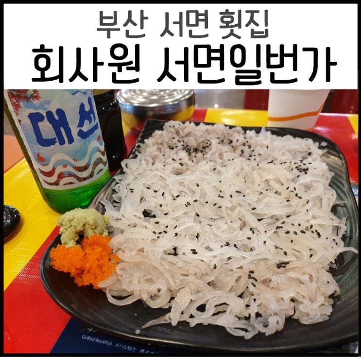  서면 횟집 회사원 서면일번가점 오징어회 맛집