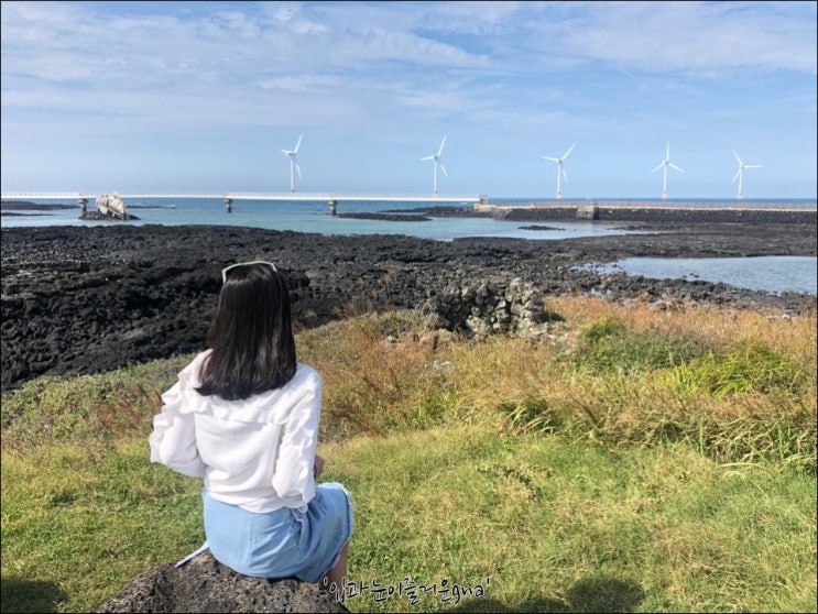  3박 4일 제주도 여행/제주시새우리 딱새우김밥, 캠핑카, 신창풍차해안도로