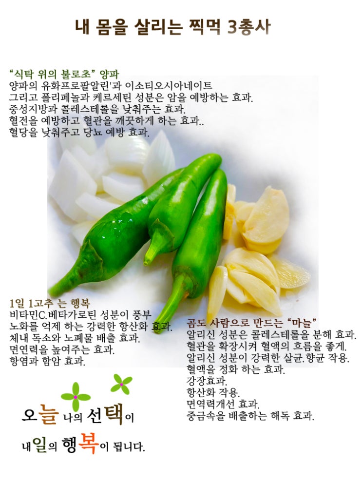  내 몸을 살리는 찍먹 3총사