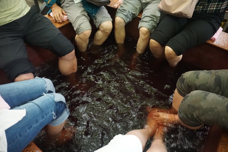  영동여행 :: 영동 가볼만한곳 당일치기로~ 노근리 평화기념관, 와인코리아, 난계국악촌, 옥계폭포, 와인터널