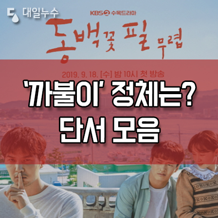  동백꽃 필 무렵, 까불이 정체 성별 단서모음 결말은? (동백이,동백엄마) 20부작 연장