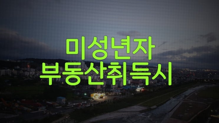  미성년자 부동산 취득 안내