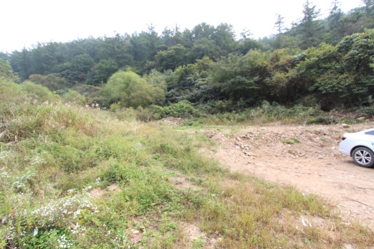  용인 이동읍 토지 매매 / 이동읍 묵리 토지 매매