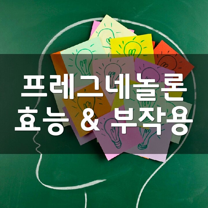  프레그네놀론 (Pregnenolone) 효능, 부작용, 권장량, 제품 순위