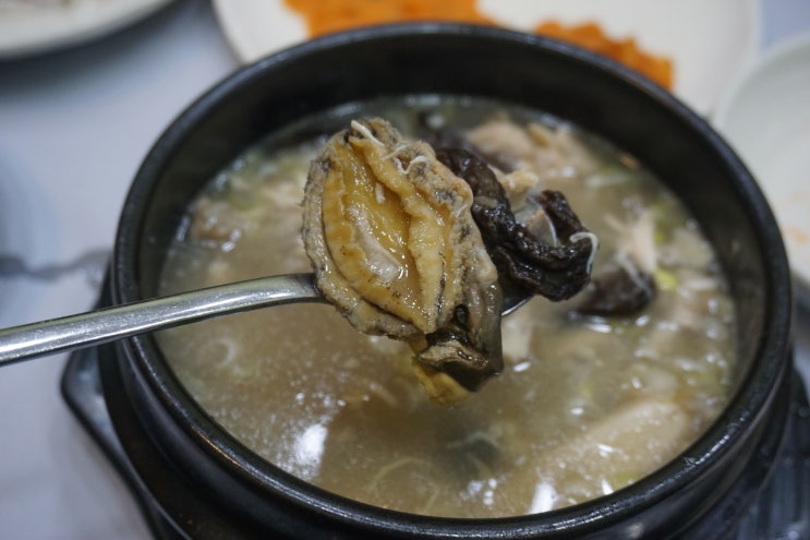  동학사 맛집 감나무집에서 가족외식으로 능이전복삼계탕 보양식 먹고 힘!