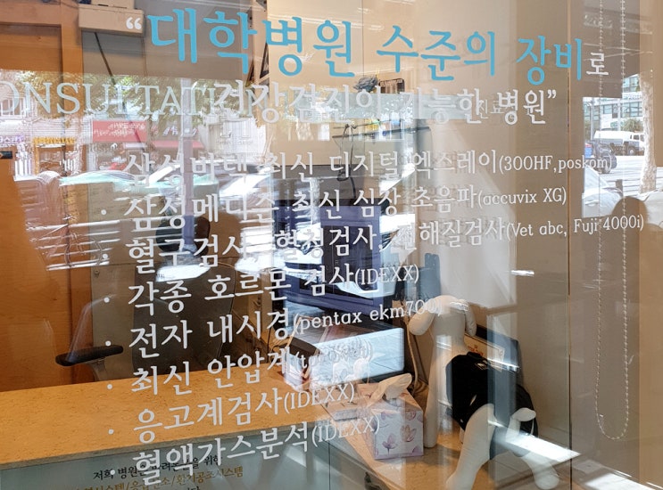  예은 동물병원 애견 종합 건강검진 for 6살 모모찡