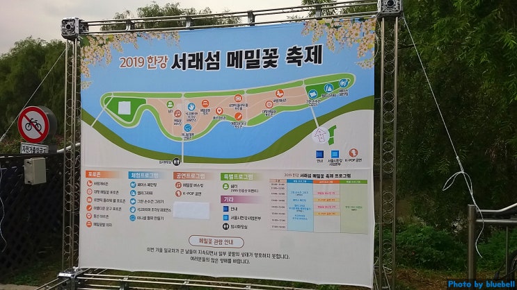 2019 한강 서래섬 메밀꽃축제