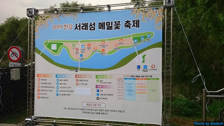  2019 한강 서래섬 메밀꽃축제