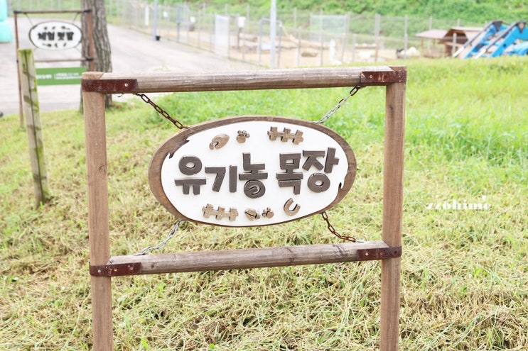  고창 가볼만한곳 상하농원 목장 :)