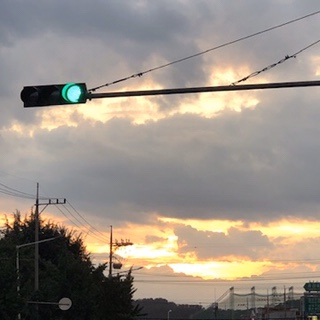  191004 바구니를 단 자전거처럼.