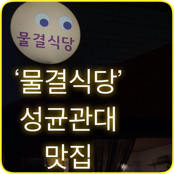  물결식당 성대맛집_국립어린이과학관 근처 식당 메뉴 추천