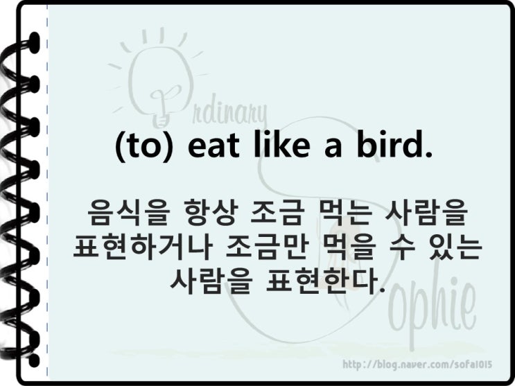  [일상에서 사용하는 재미있는 영어 표현] 항상 음식을 적게 먹는 사람을 표현할 때: to eat like a bird