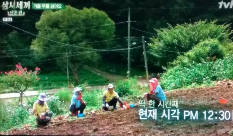  tvn삼시세끼산촌편 박서준 염정아의 줄넘기