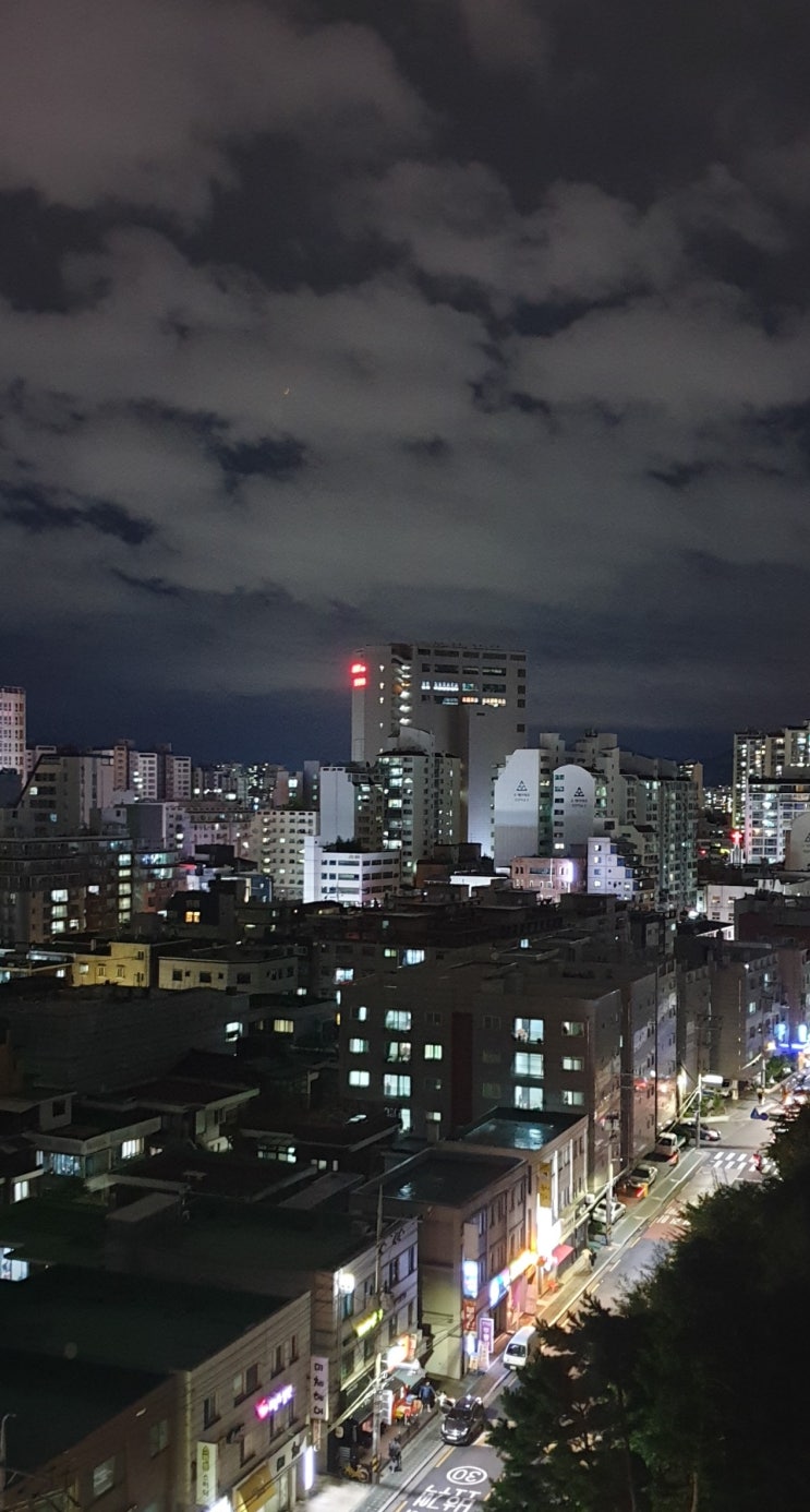  나이