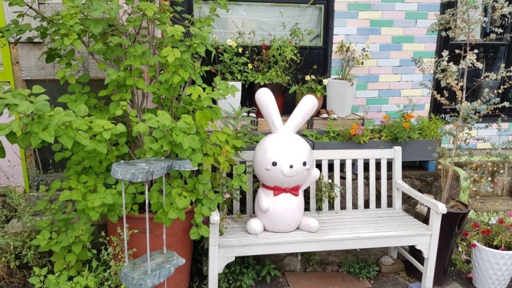  국가유공자, 보훈보상대상자 합당한 예우 / 행정사 추대식