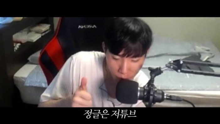  인방갤, BJ강만식→저라뎃 고소로 핫이슈…'방플 논란' 뭐길래?