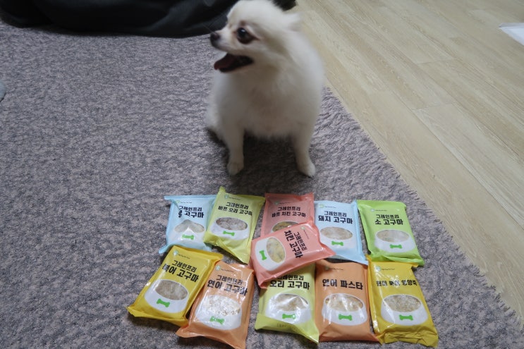  하이독 강아지 수제간식 화식 이거지~