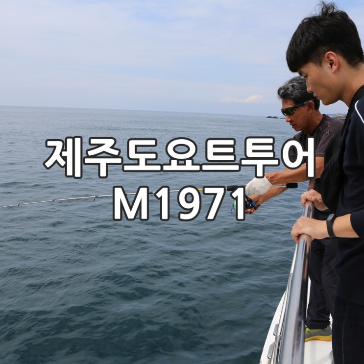  제주도요트투어 M1971, 서귀포가볼만한곳 돌고래투어 추천!