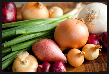  양파 효능 [건강 웰빙 식품 양파] Onion & Allium cepa