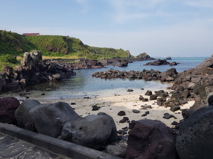  제주도 이호테우 해변, 오설록 티뮤지엄, 곽지 과물 해변 산책로와 해수욕장까지 이곳이 경치 맛집!
