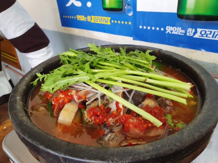  대구 월배 맛집 저렴한 돌솥밥에 해물탕 삼정해물탕