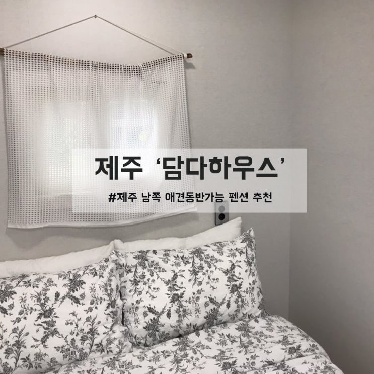  제주도남쪽숙소추천, 서귀포에 위치한 반려견과 함께 쉴 수 있는 애견동반숙소 '담다하우스' 독채펜션
