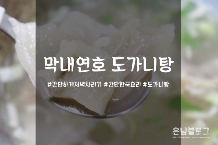  간단한 국요리 : 막내연호 도가니탕 으로 집에서 간단한 저녁차리기 성공