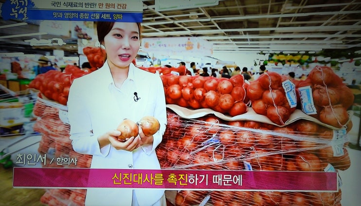 혈관에 좋은 양파의 효능