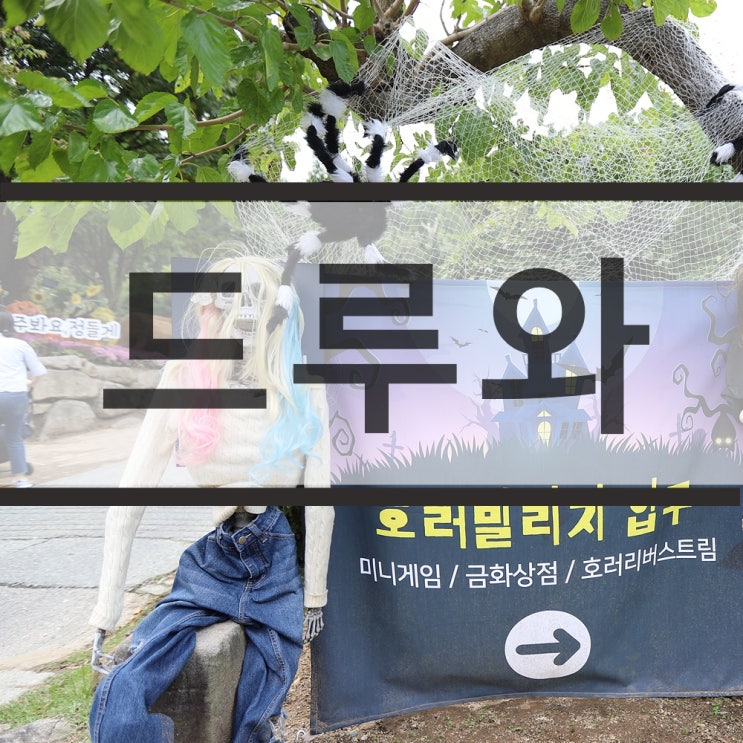  대구 네이처 파크 할로윈 페스티발 시즌 시작