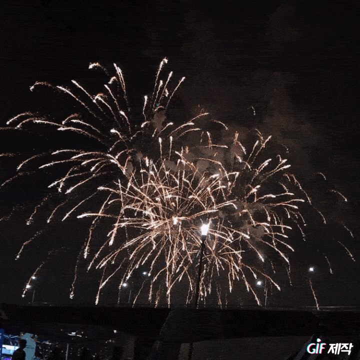  19.10.05 / 2019 여의도 불꽃 축제 후기&관람 명당