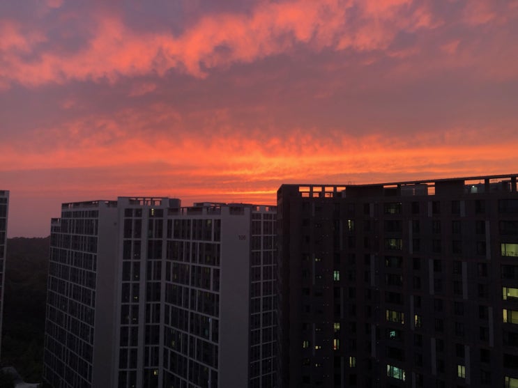  September 2019