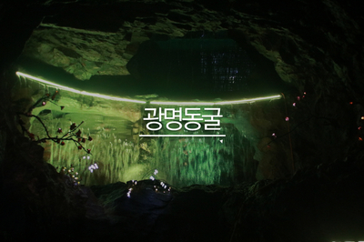  아이들과 가볼만한곳 - 광명동굴, 레인보우 팩토리 까지