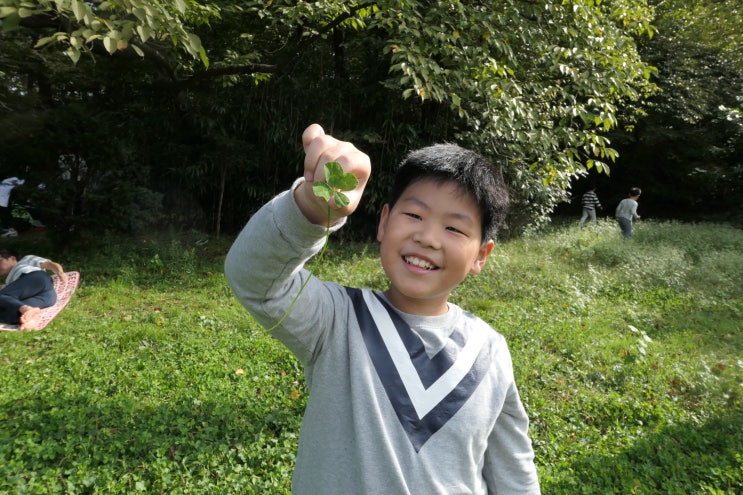 어린이 대공원 주말 놀이 페트병 세우기 / 네잎클로바 찾기